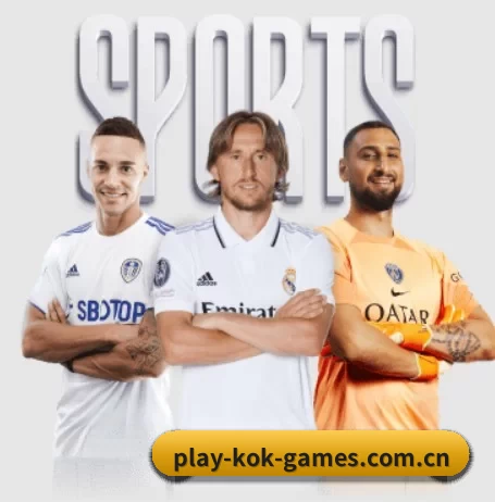 KOK体育 APP